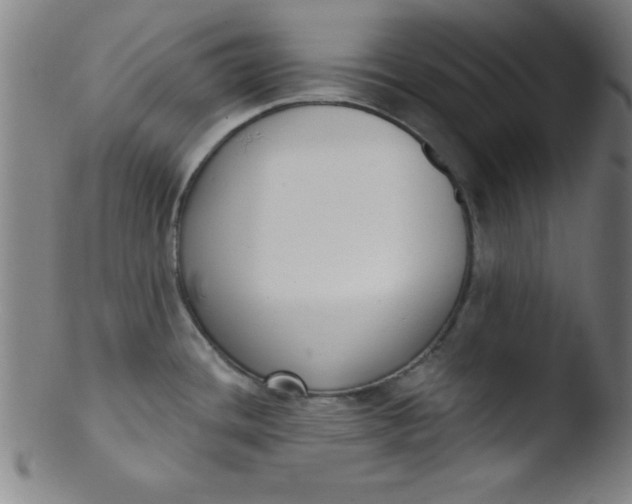 X0000103471436200809261854