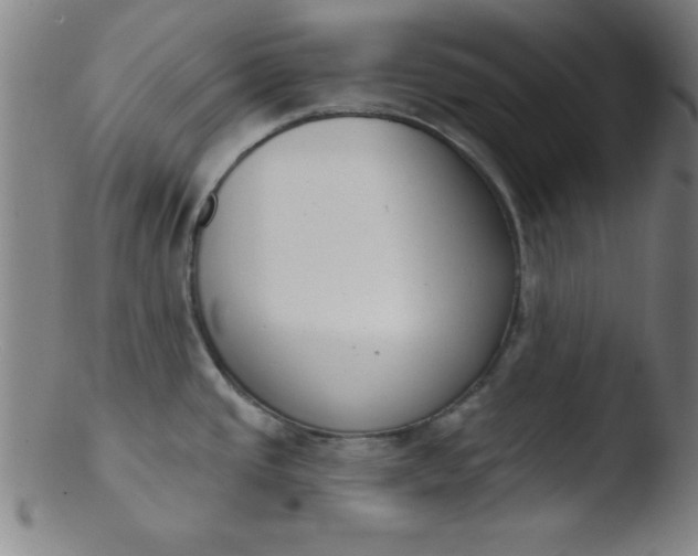 X0000103471437200809261854