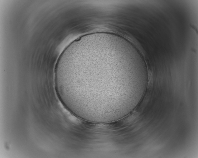 X0000103471439200809261854