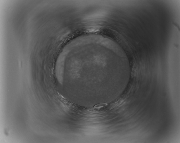 X0000103471441200809261853