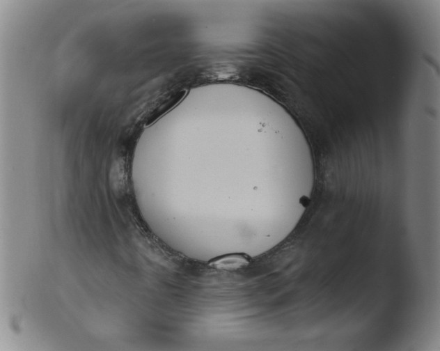 X0000103471442200809261853