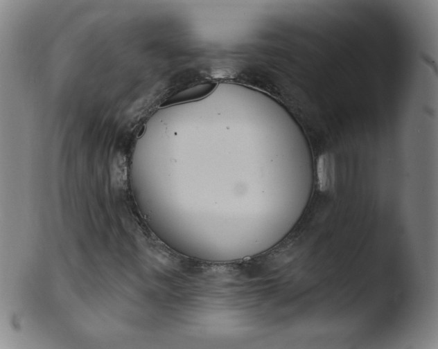 X0000103471443200809261853