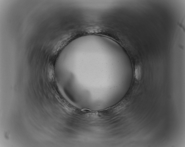 X0000103471444200809261853