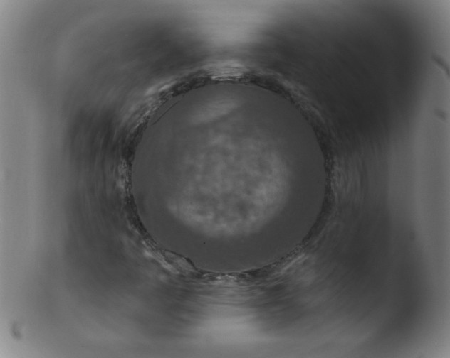 X0000103471445200809261853