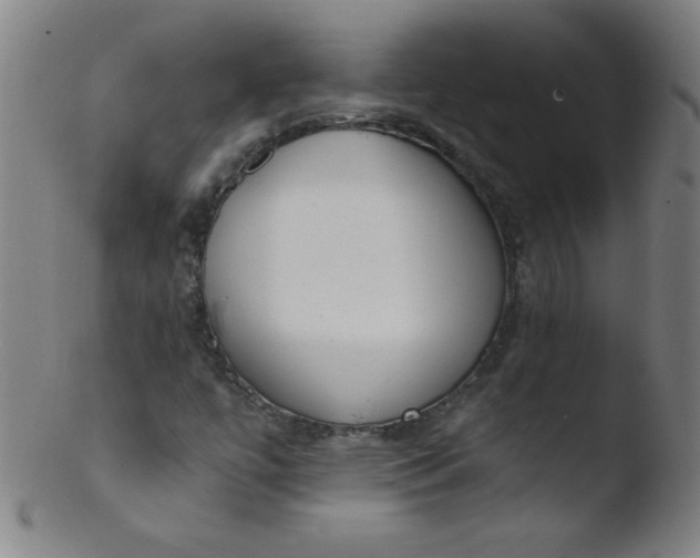 X0000103471447200809261853