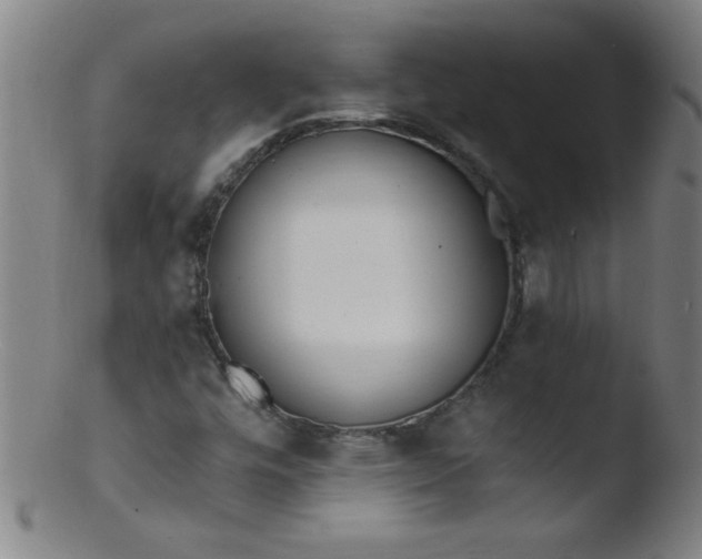 X0000103471448200809261853