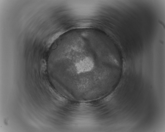 X0000103471449200809261853