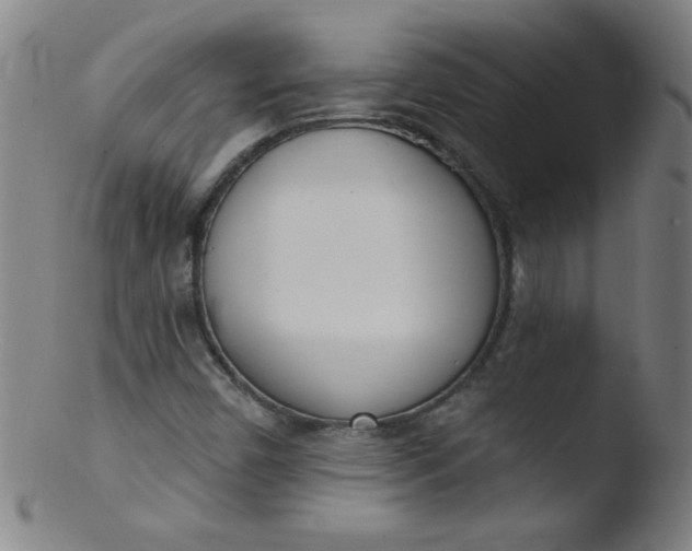 X0000103471450200809261853