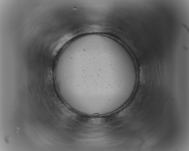 X0000103471453200809261853