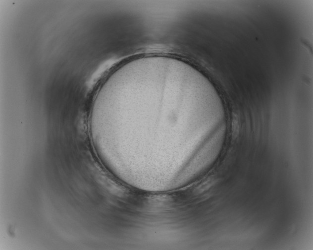 X0000103471454200809261853