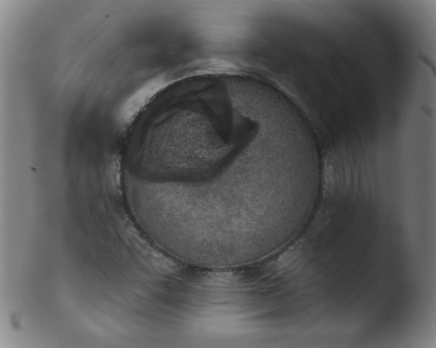 X0000103471455200809261853