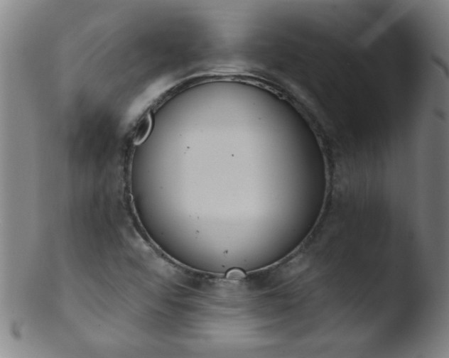 X0000103471456200809261853