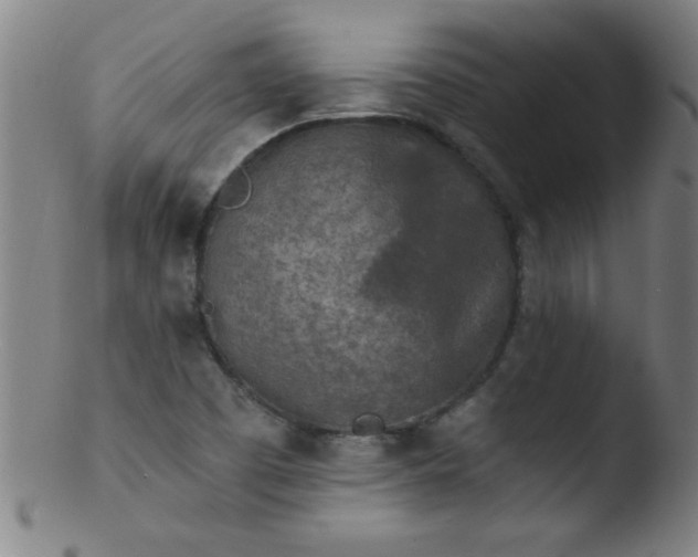 X0000103471457200809261853