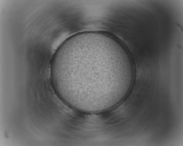 X0000103471459200809261853