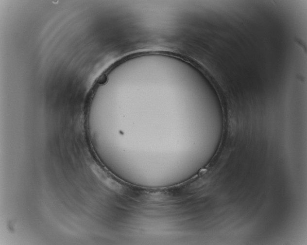 X0000103471460200809261853