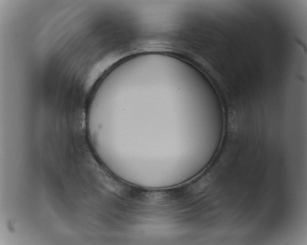 X0000103471461200809261853