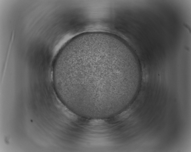 X0000103471462200809261853