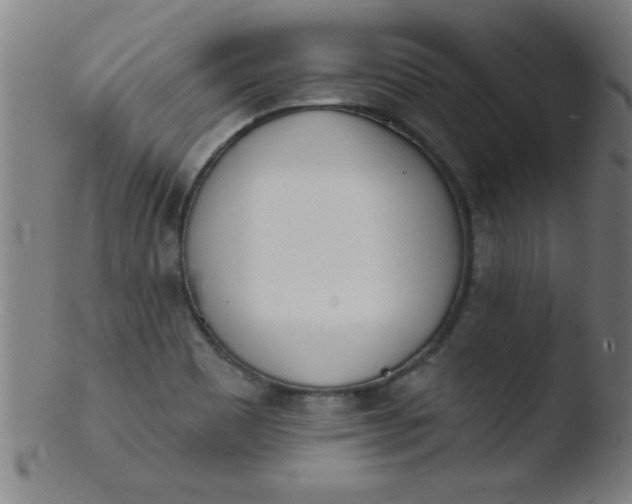 X0000103471465200809261853