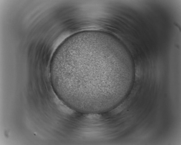 X0000103471466200809261853