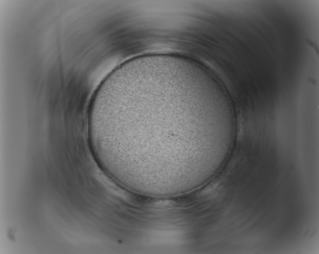 X0000103471467200809261853