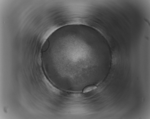 X0000103471468200809261853