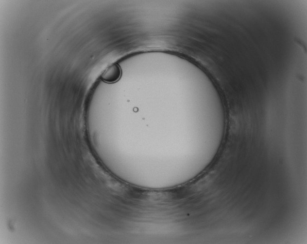 X0000103471469200809261853