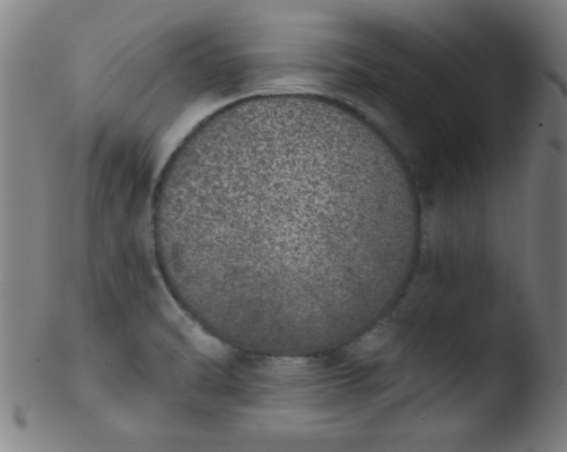 X0000103471470200809261853