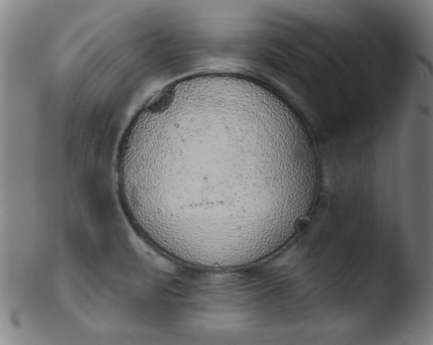 X0000103471471200809261853