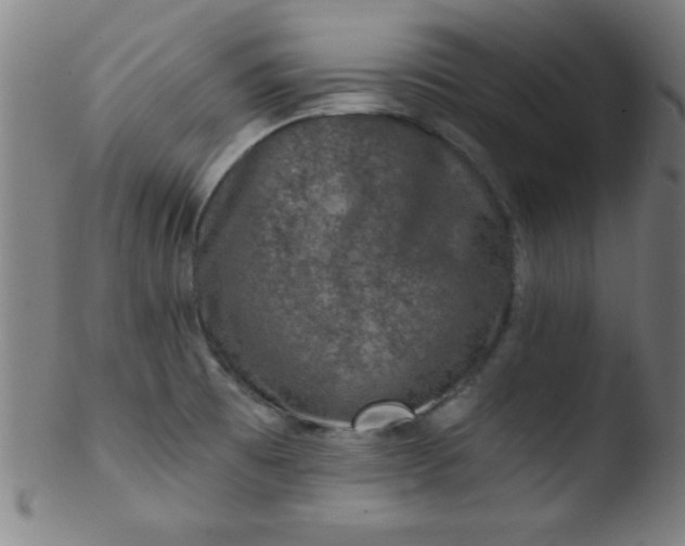 X0000103471473200809261853