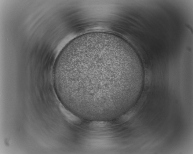 X0000103471474200809261853