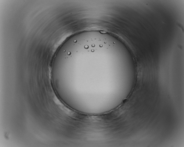 X0000103471476200809261853