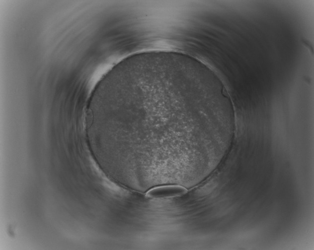 X0000103471477200809261853