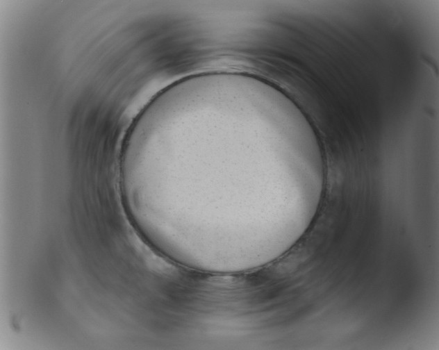 X0000103471478200809261853