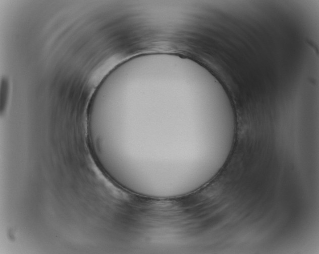 X0000103471479200809261853