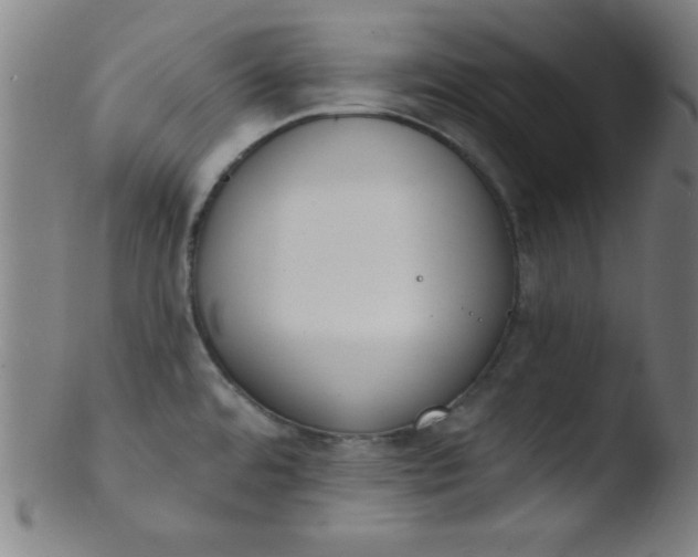 X0000103471480200809261853