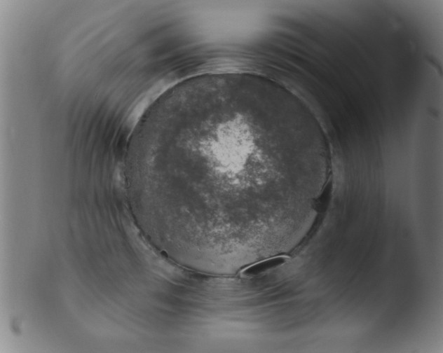 X0000103471481200809261853