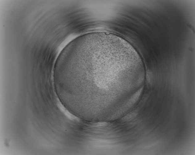 X0000103471482200809261853