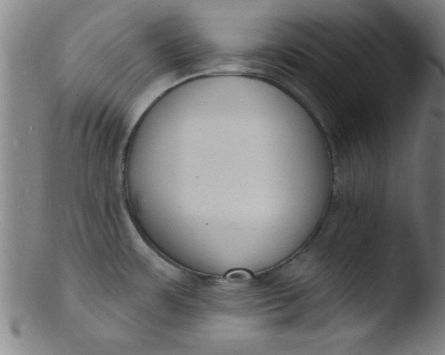 X0000103471483200809261853