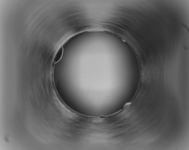 X0000103471484200809261853