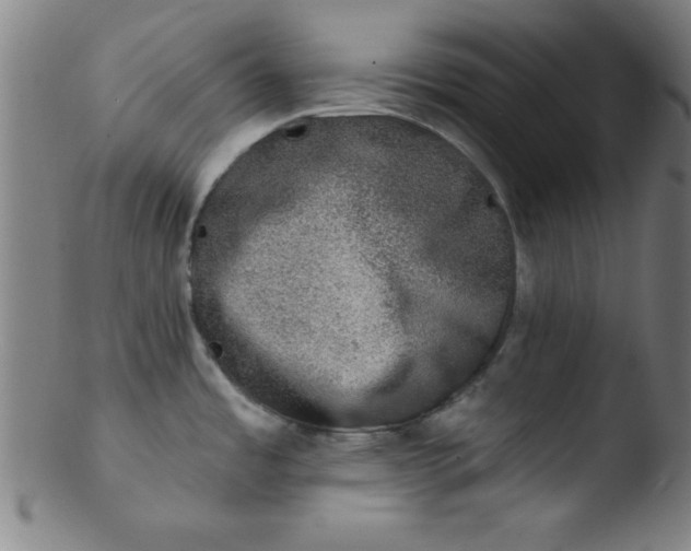 X0000103471485200809261853