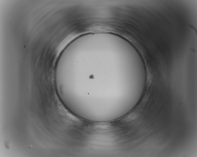 X0000103471486200809261853