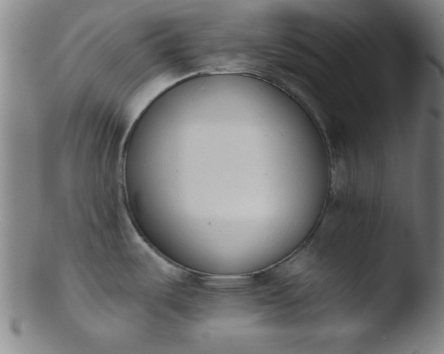 X0000103471487200809261853