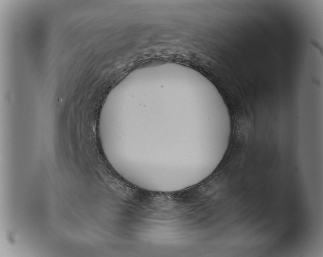 X0000103471489200809261852