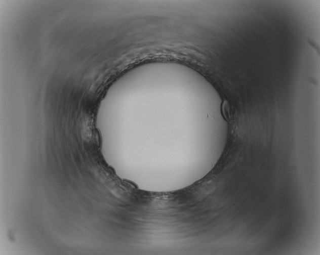 X0000103471490200809261852