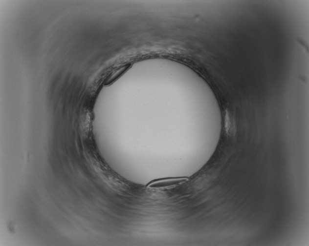 X0000103471492200809261852