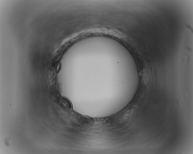 X0000103471494200809261852