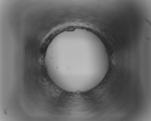 X0000103471495200809261852