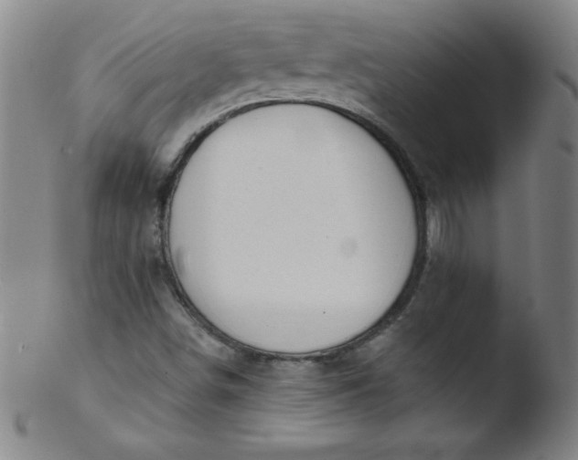 X0000103471498200809261852