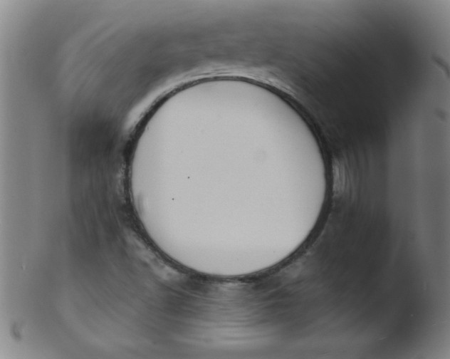 X0000103471502200809261852