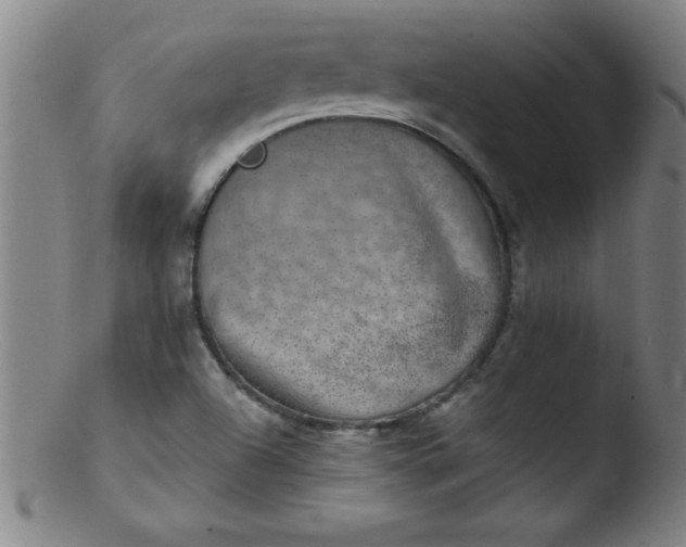 X0000103471504200809261852